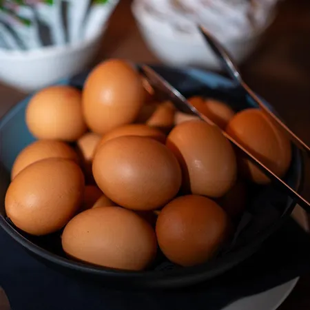 فندق Punta San Martino