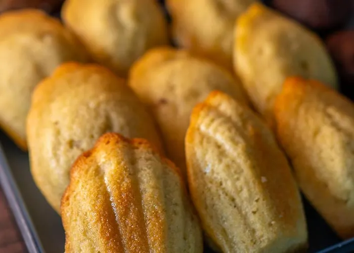 Punta San Martino فندق